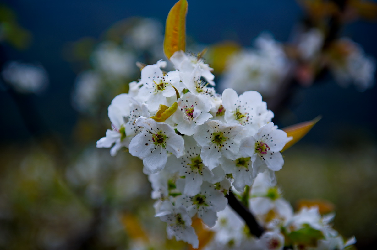 DSC_5298_调整大小.jpg