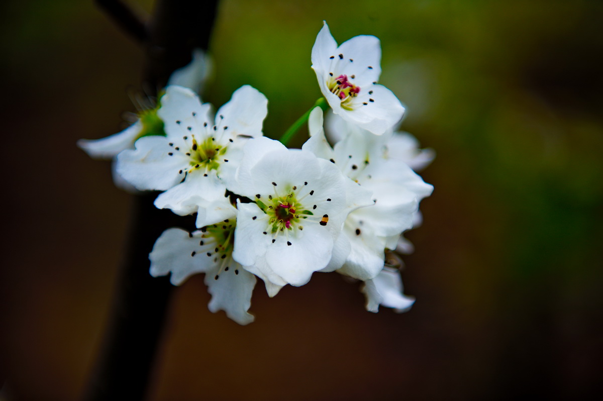 DSC_5311_调整大小.jpg