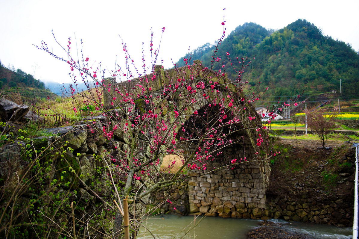 DSC_5340_调整大小.jpg