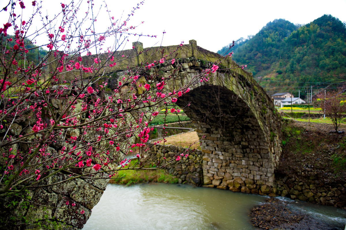 DSC_5341_调整大小.jpg