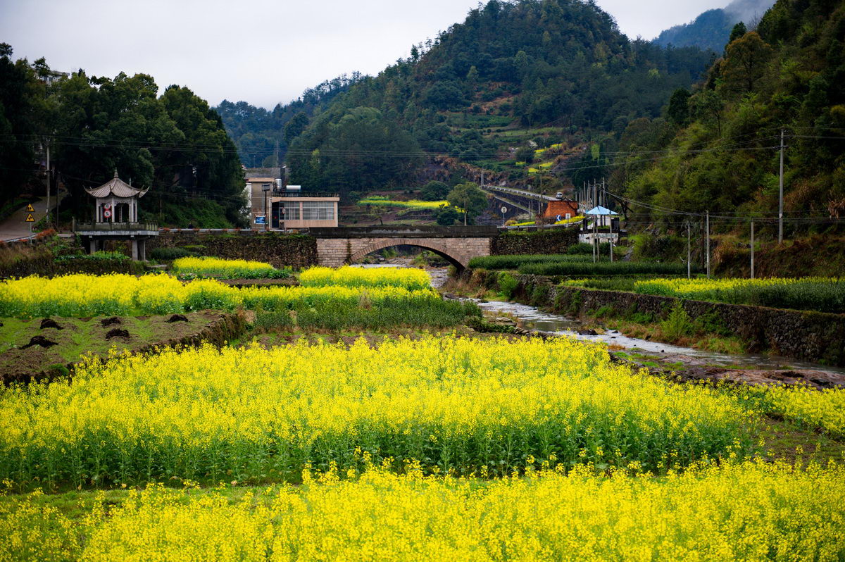 DSC_5355_调整大小.jpg