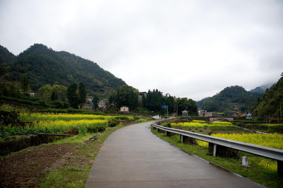 DSC_5359_调整大小.jpg
