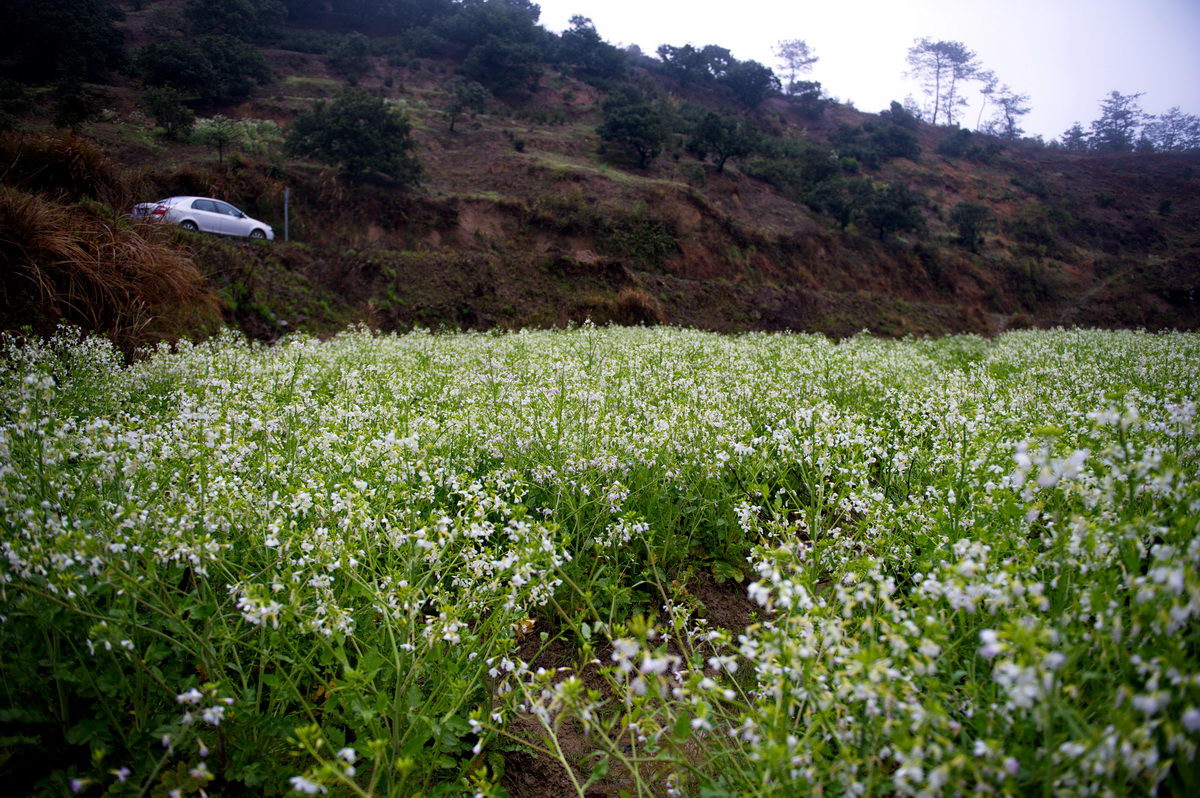 DSC_5384_调整大小.jpg