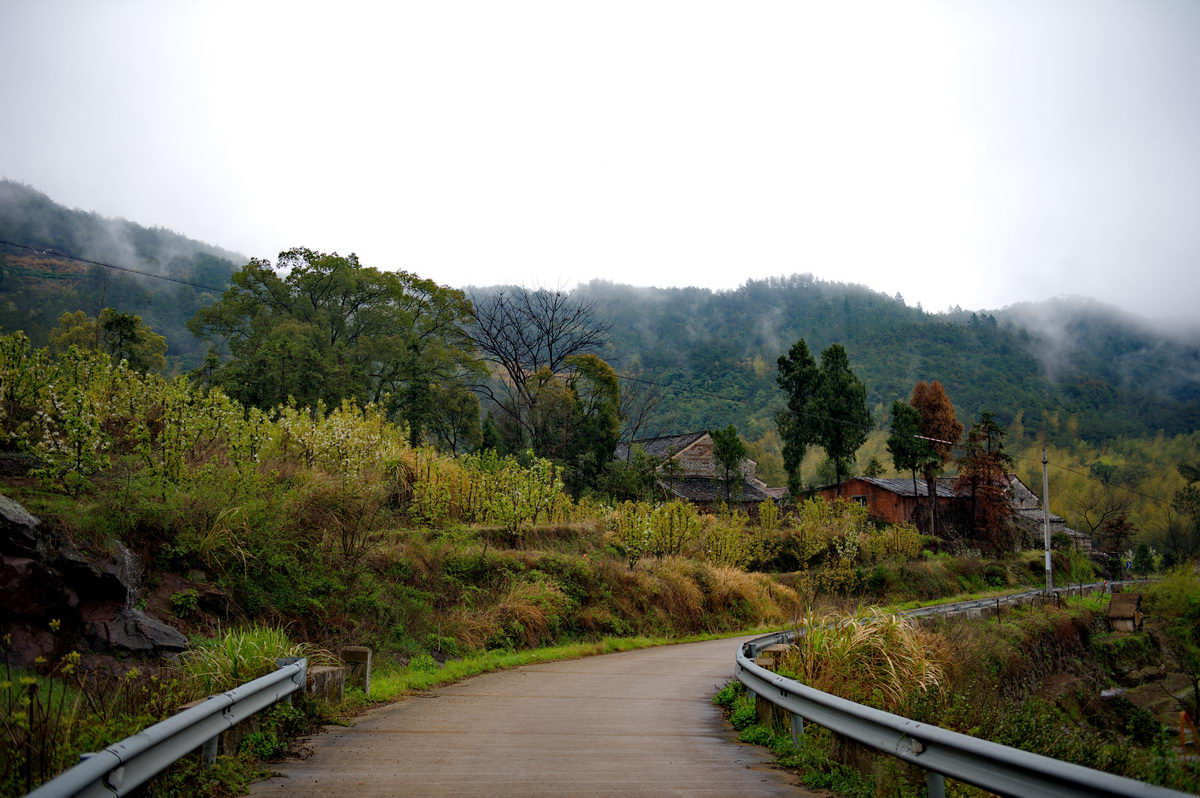 DSC_5389_调整大小.jpg