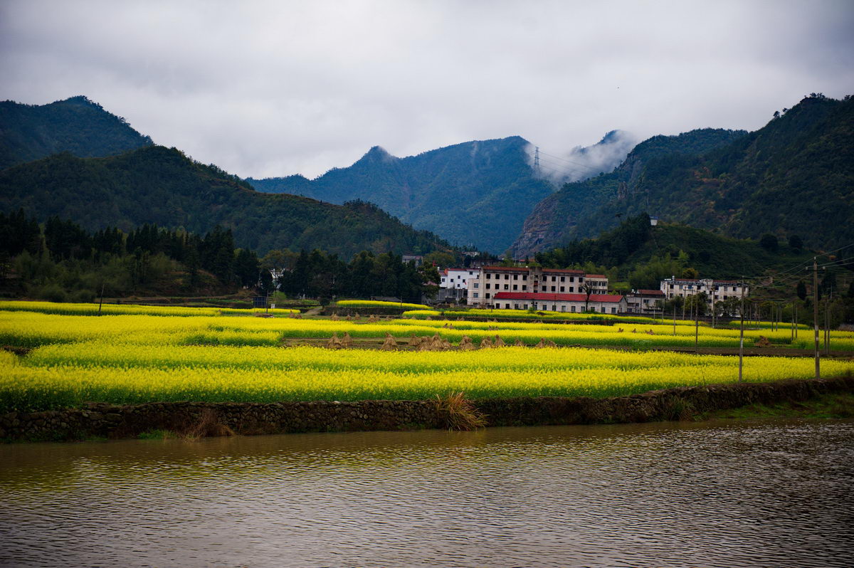 DSC_5332_调整大小.jpg