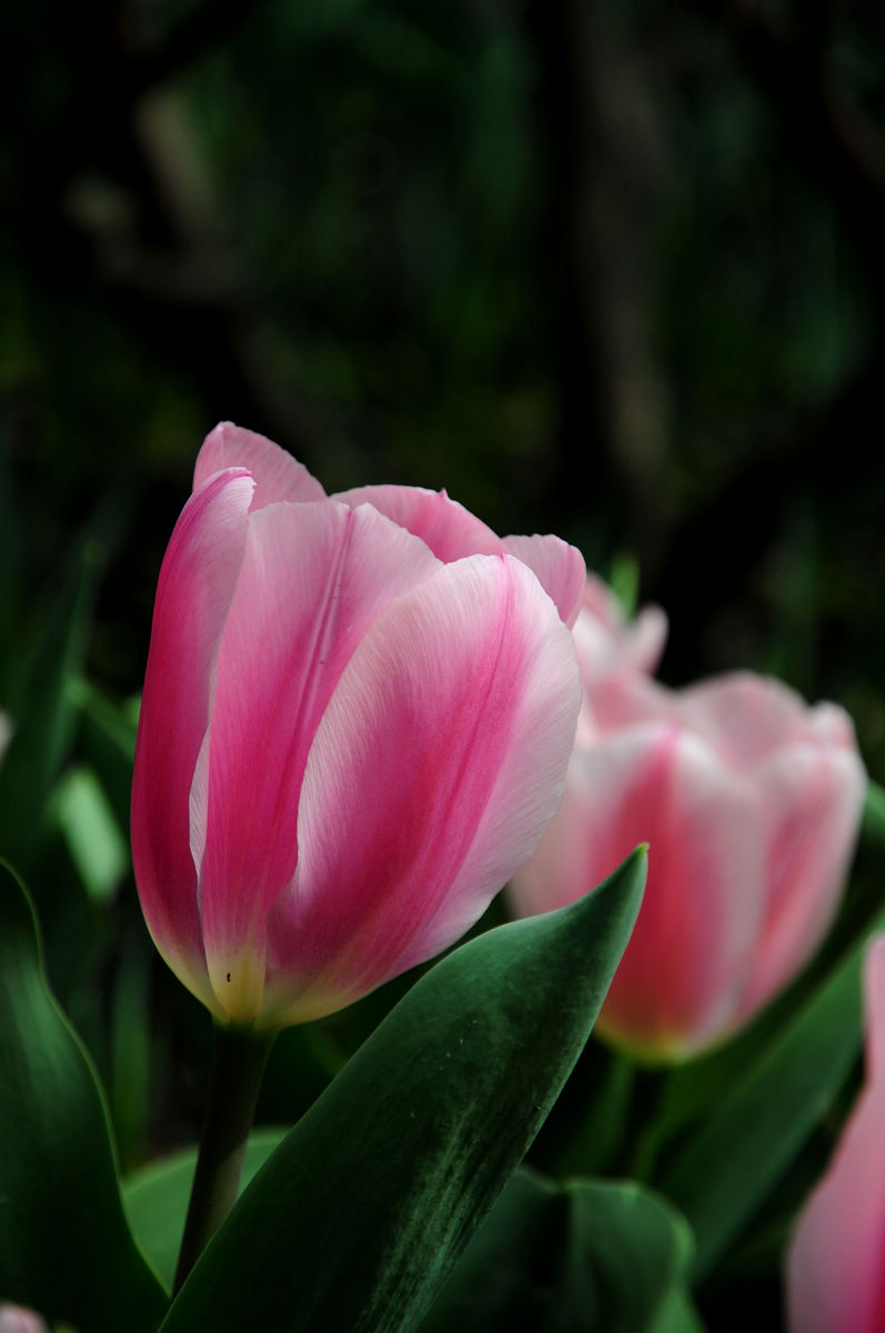 DSC_2491.jpg
