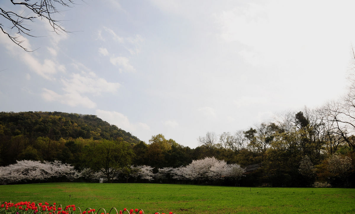 DSC_2664.jpg