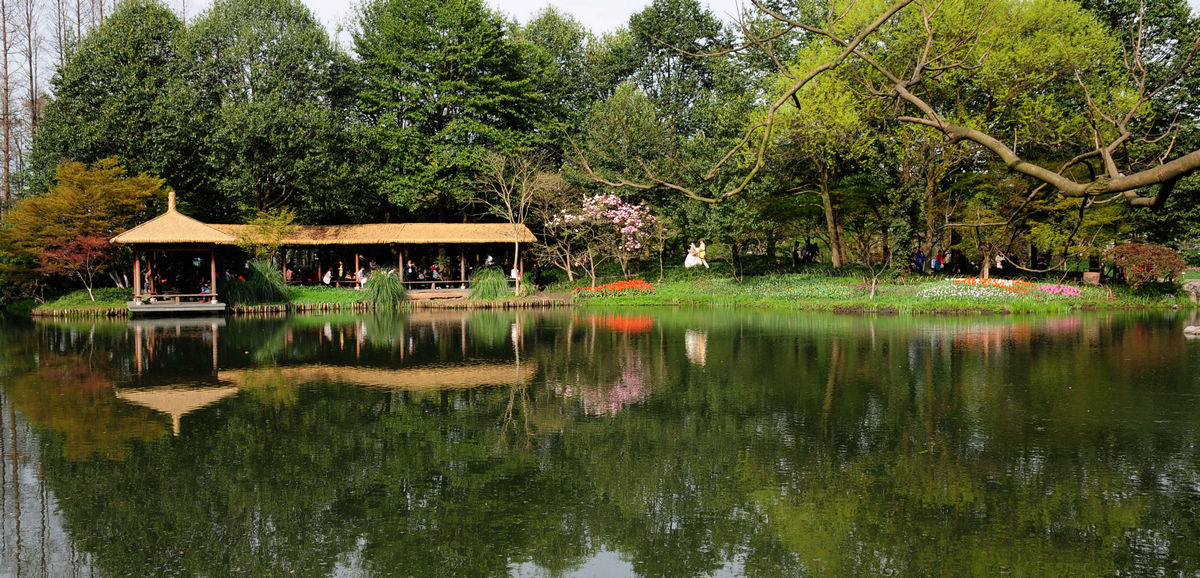DSC_2665.jpg