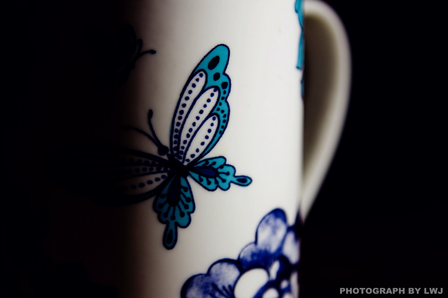 IMG_6676_1_副本.jpg