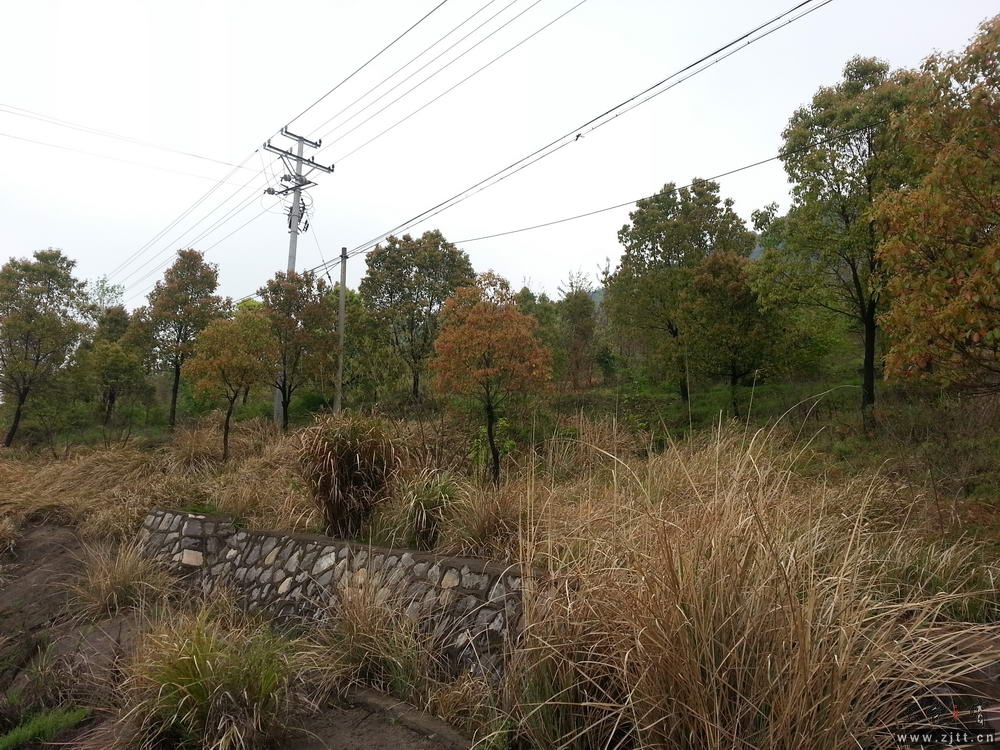 20130330_115513.jpg