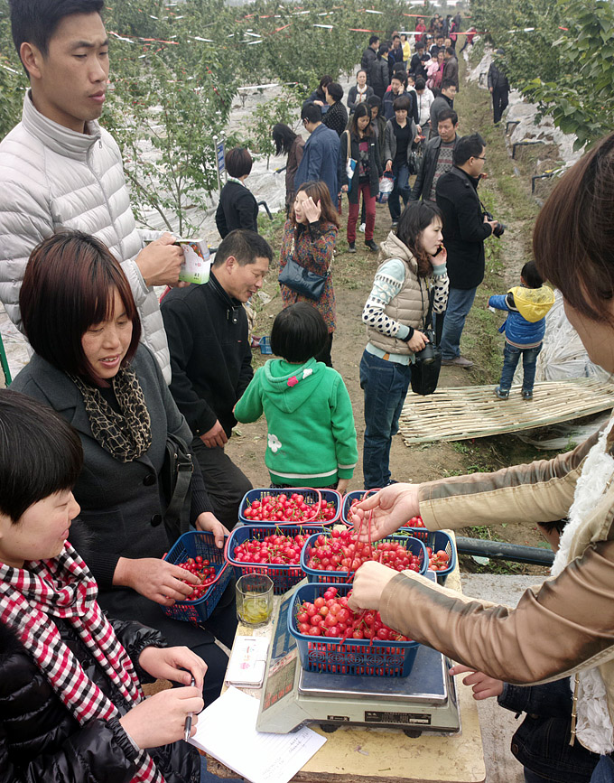 IMG_06642013-04-21-2220.jpg