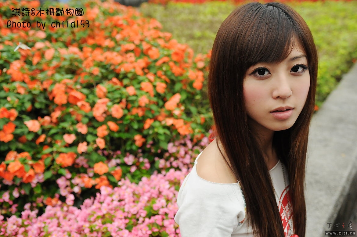 2419152362_d9fe6dc039_o.jpg