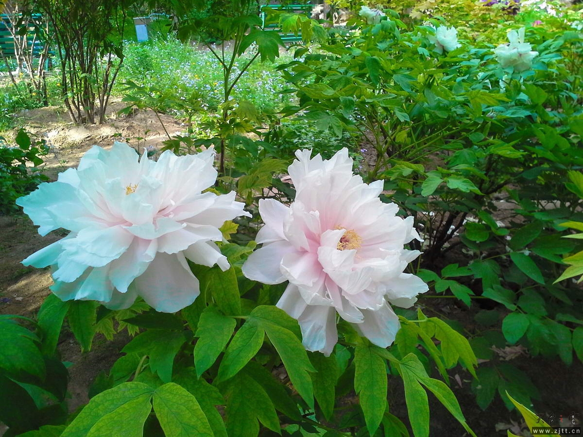 20130512_162810-1_调整大小.jpg