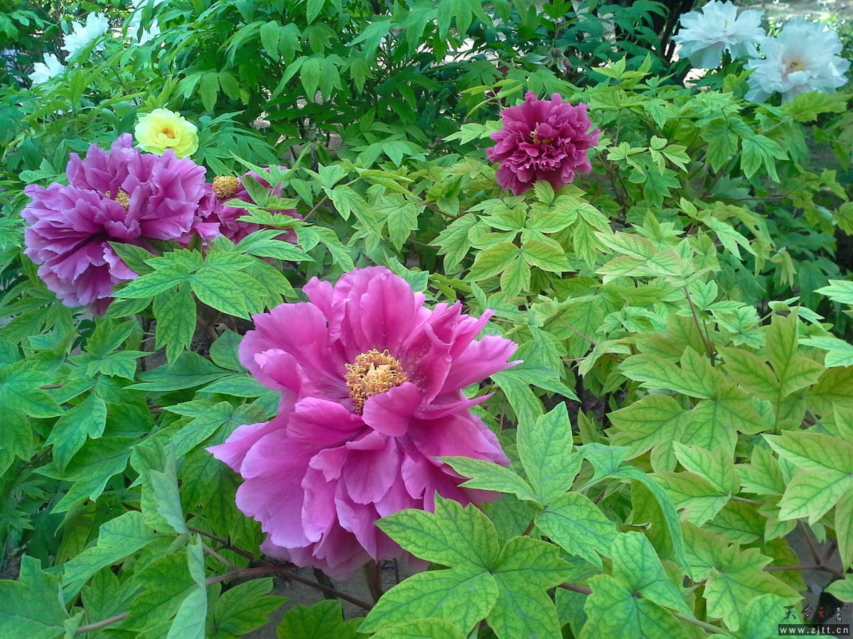 20130512_162826-1_调整大小.jpg