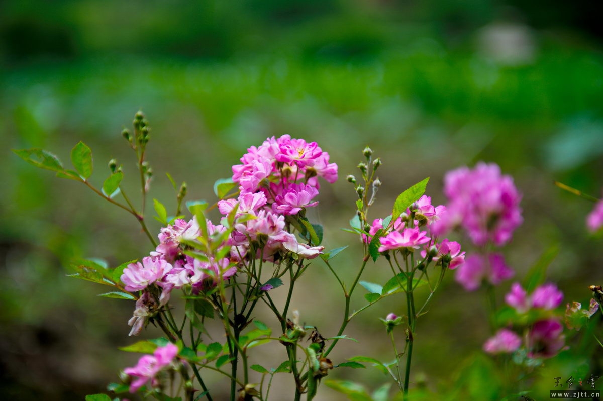 DSC_5849_调整大小.jpg