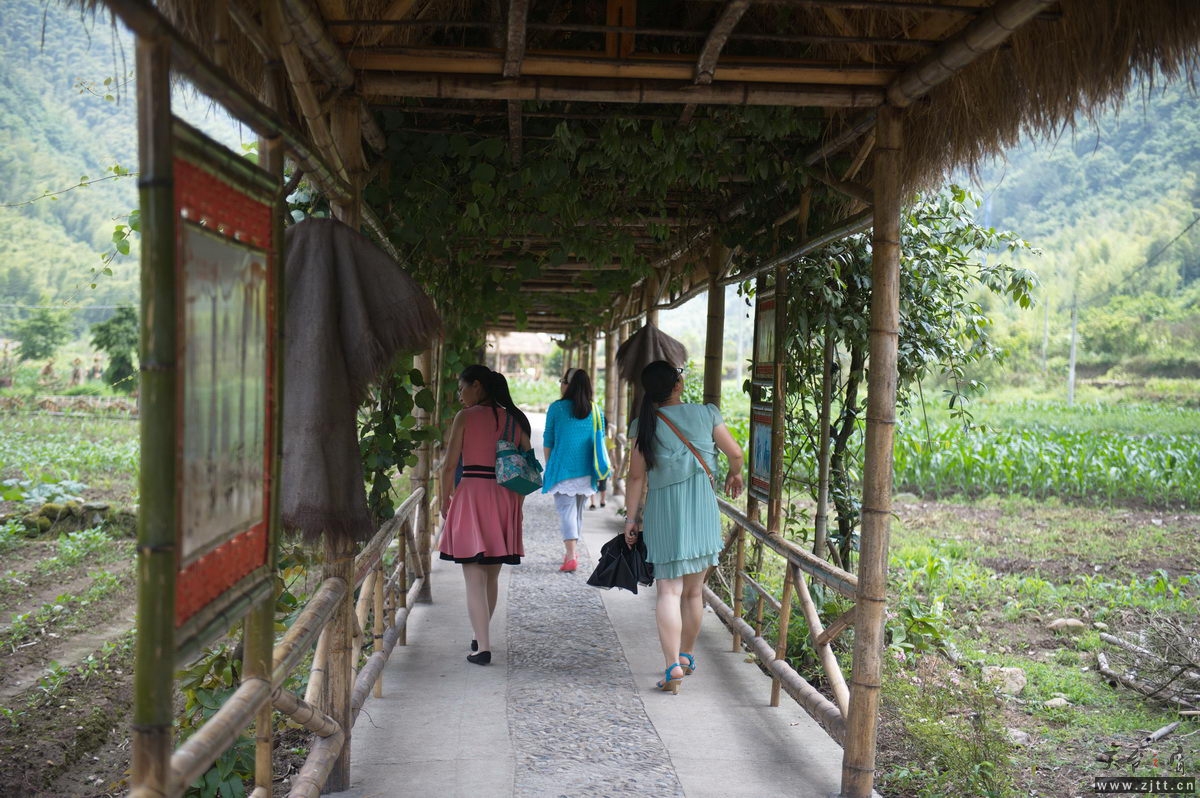 DSC_5855_调整大小.jpg