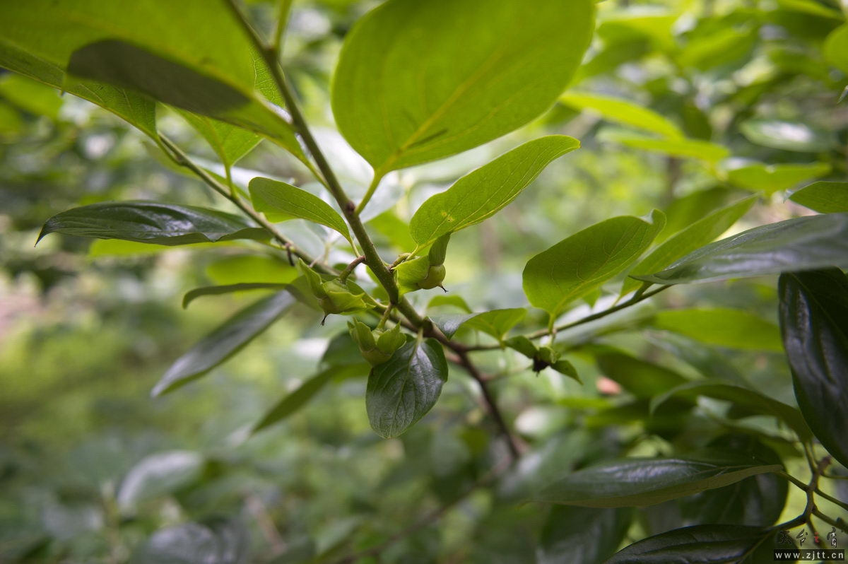 DSC_5875_调整大小.jpg