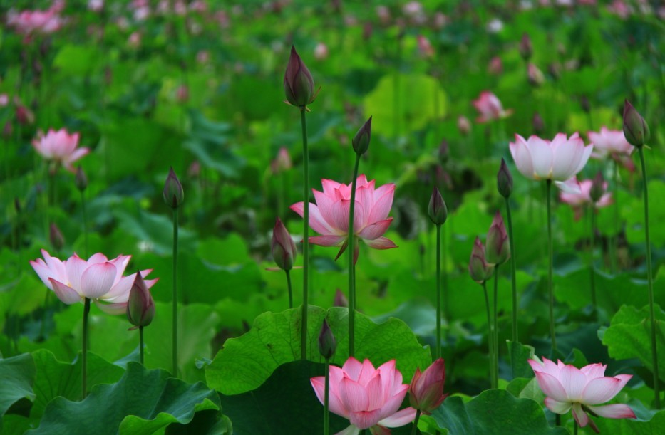 QQ图片20130610174358.jpg
