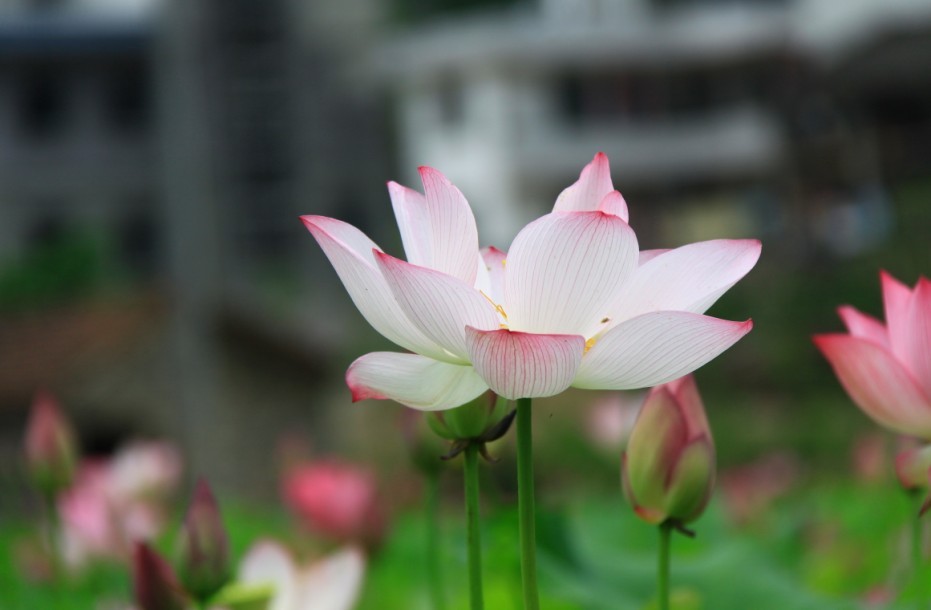 QQ图片20130610174617.jpg