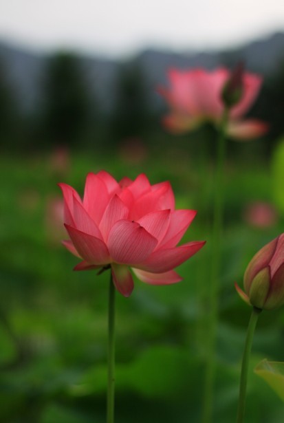 QQ图片20130610174625.jpg