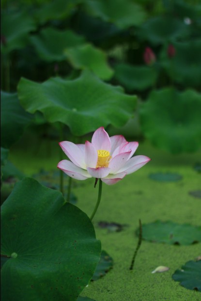 QQ图片20130610174634.jpg