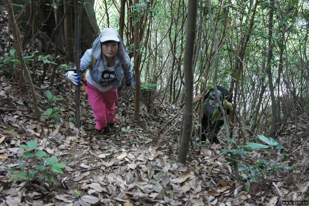 DSC04331_调整大小.JPG