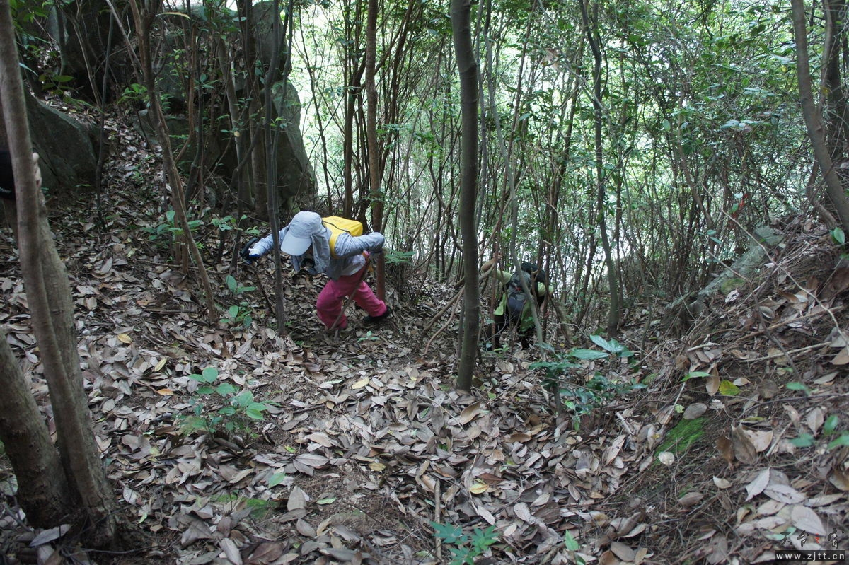 DSC04330_调整大小.jpg