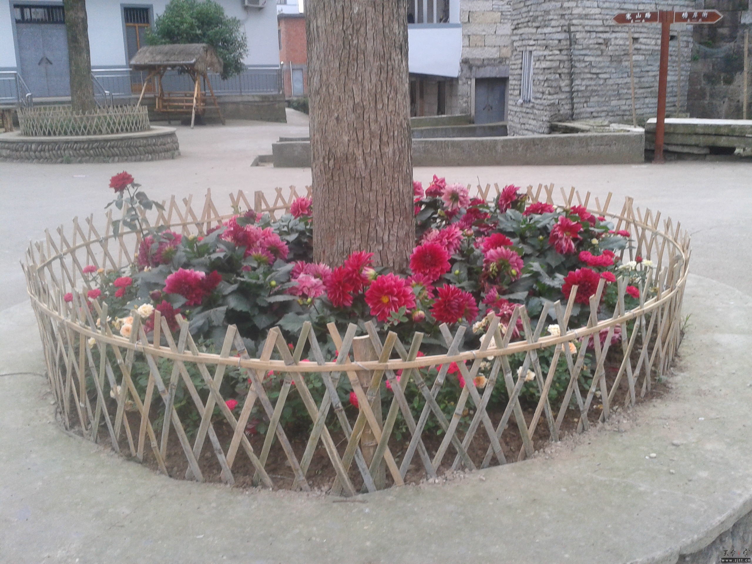 2013-05-22 17.33.22.jpg