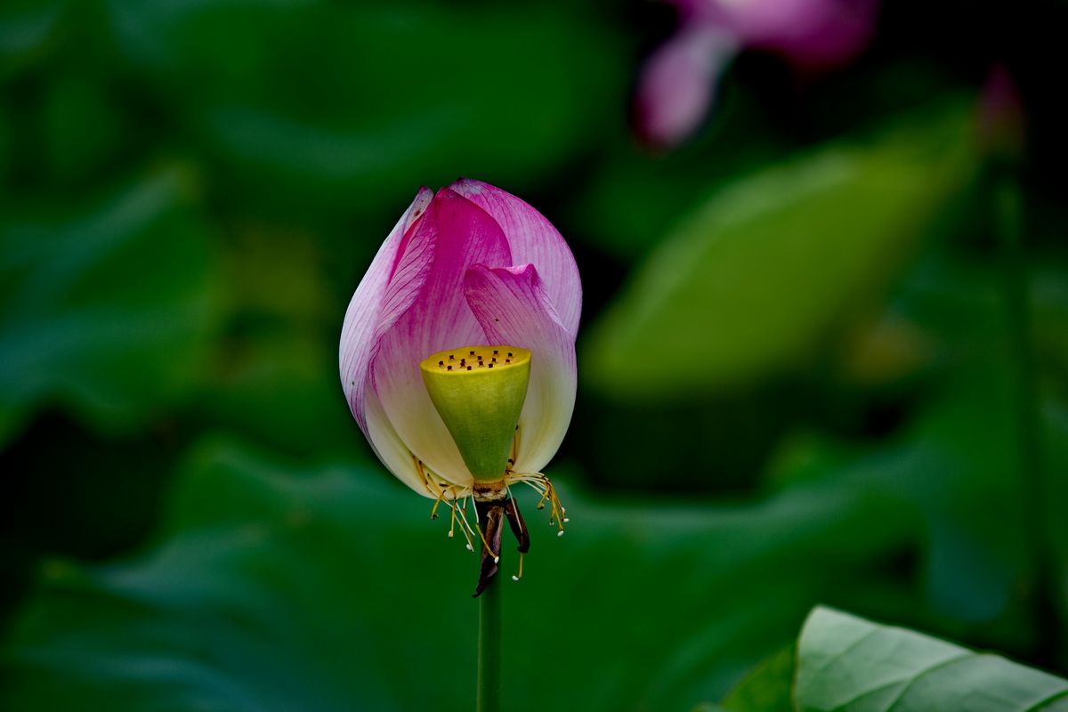 125A0052_调整大小.jpg