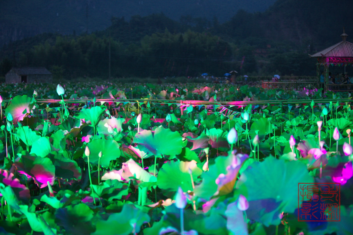 125A0896_调整大小.jpg