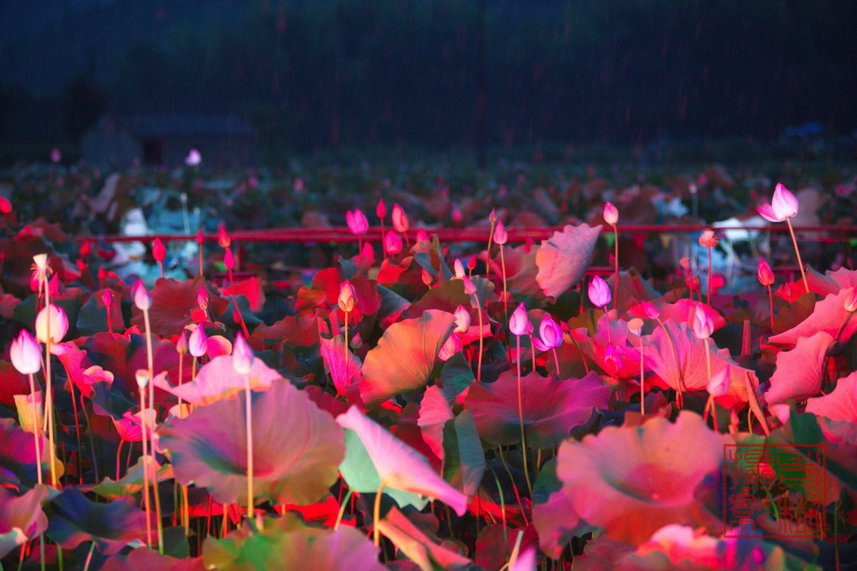 125A0900_调整大小.jpg