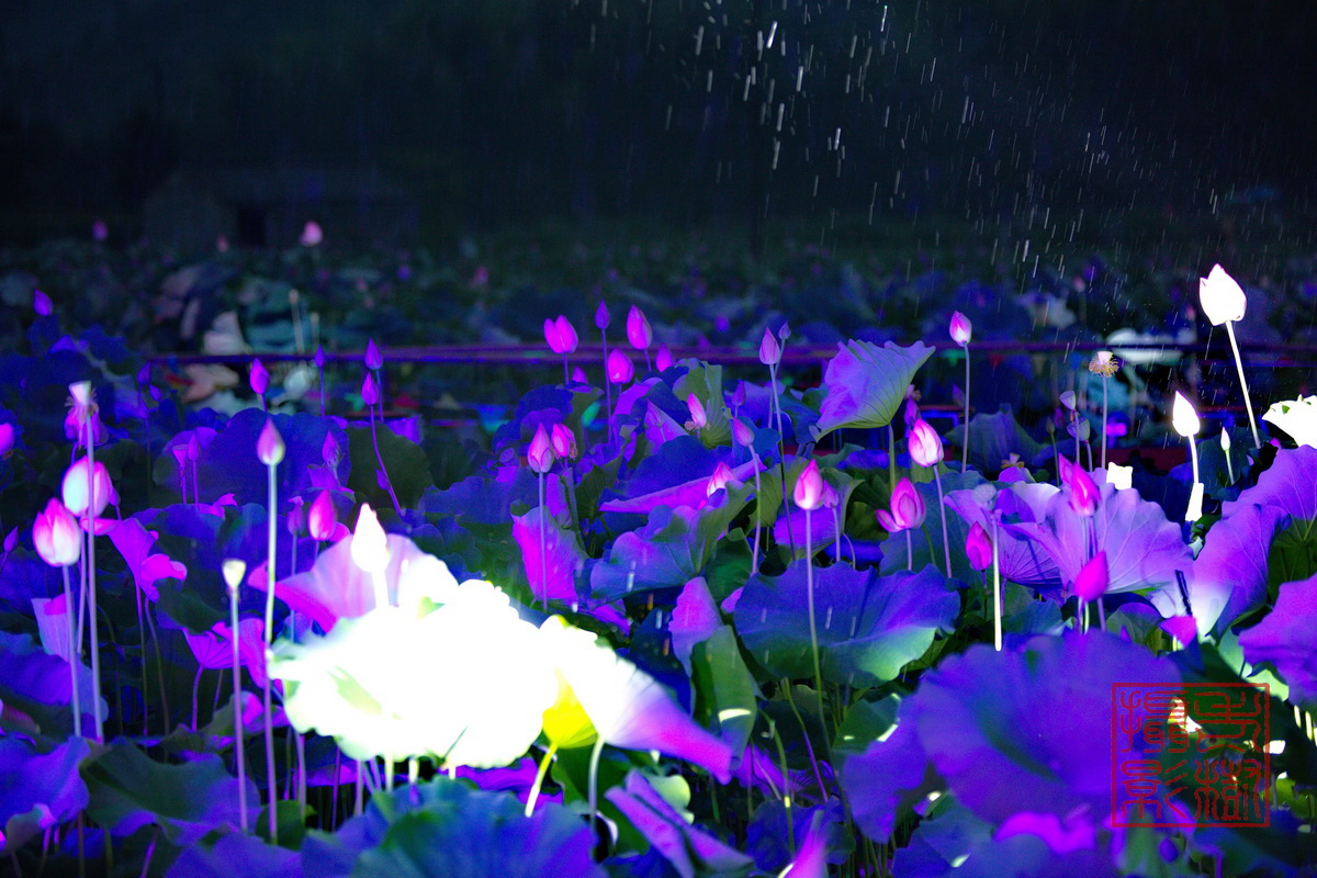 125A0901_调整大小.jpg