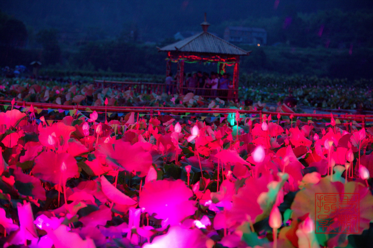 125A0903_调整大小.jpg