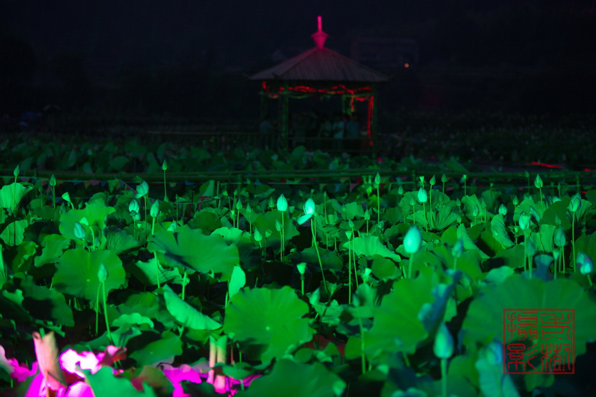 125A0904_调整大小.jpg