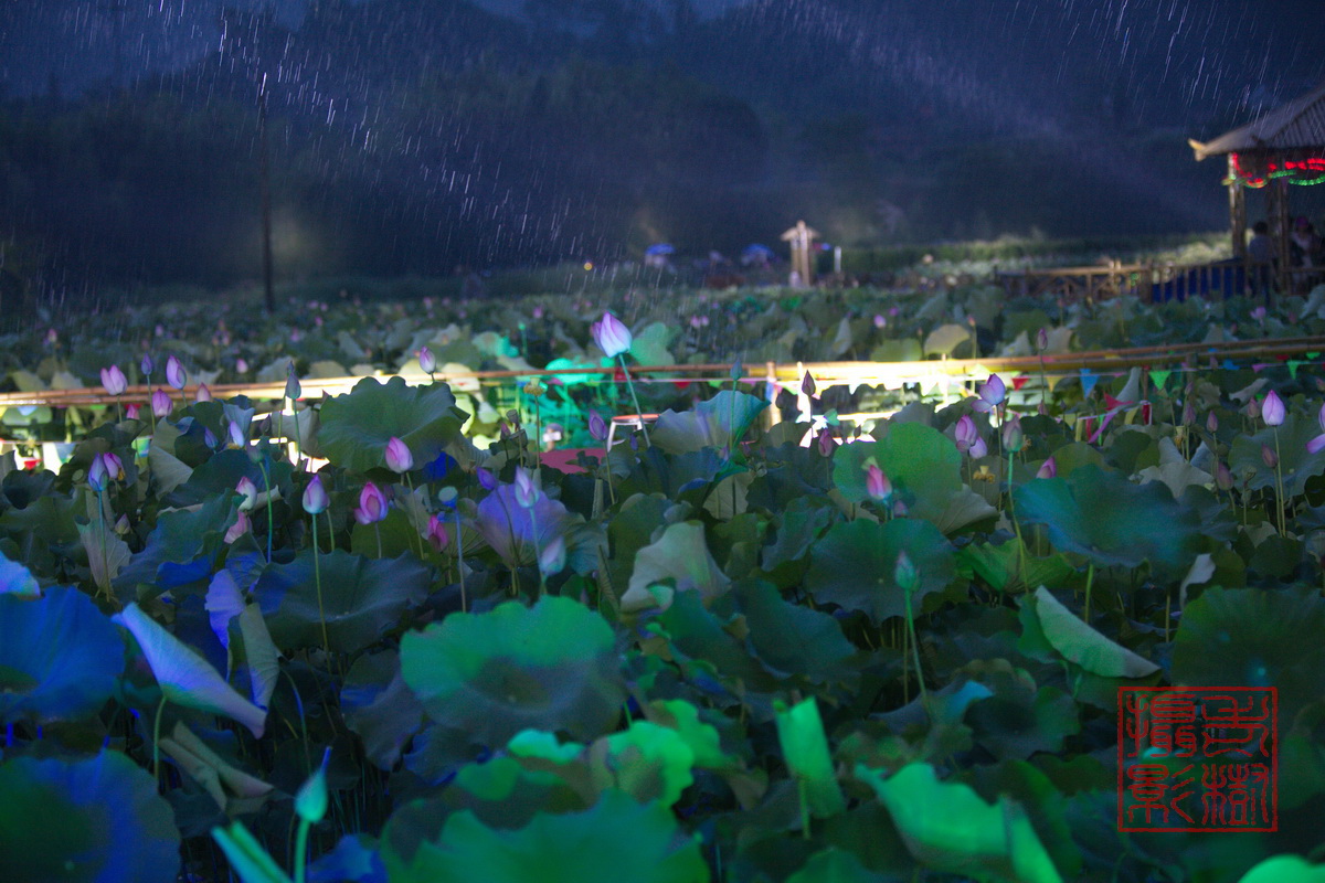 125A0905_调整大小.jpg