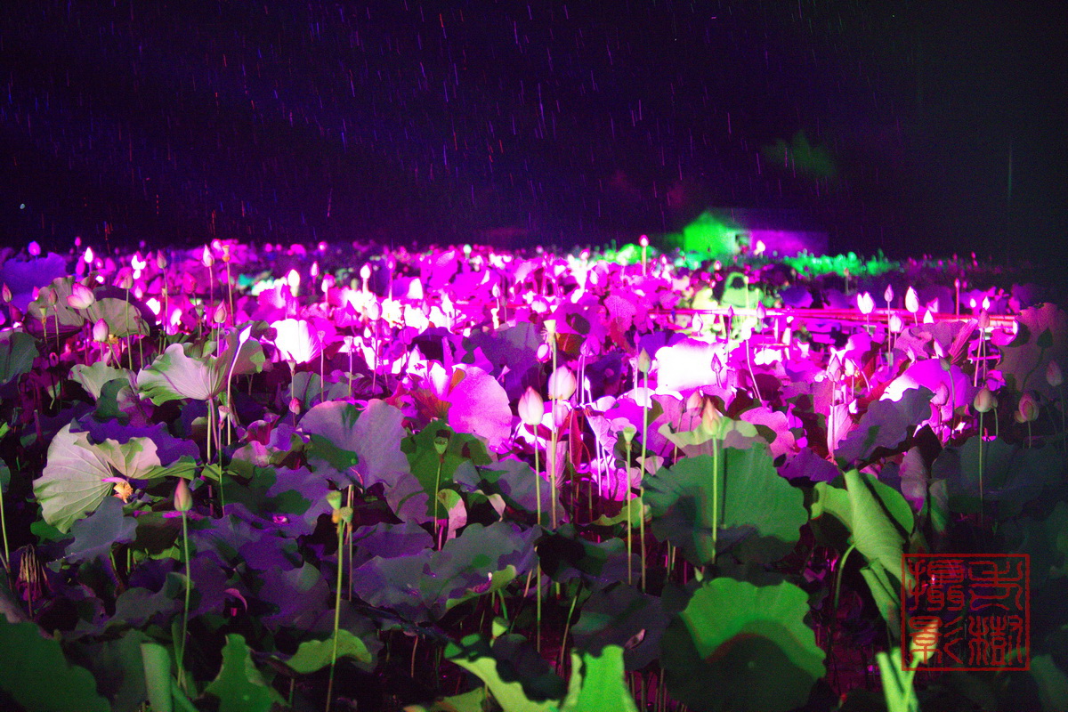 125A0937_调整大小.jpg