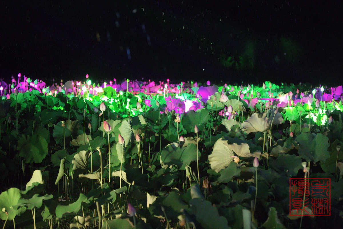 125A0953_调整大小.jpg