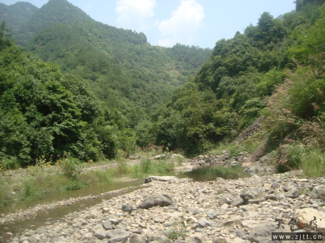 DSC06436.JPG