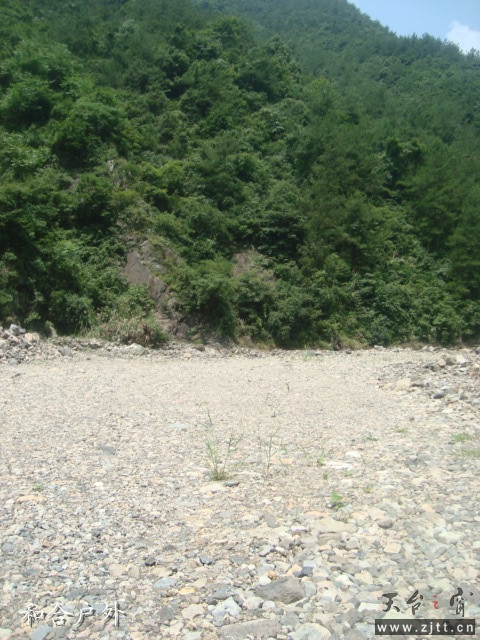 DSC06426_副本.jpg