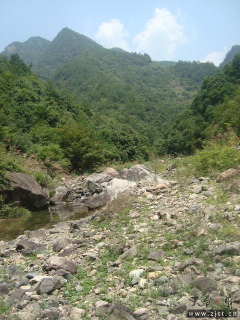 DSC06435.JPG
