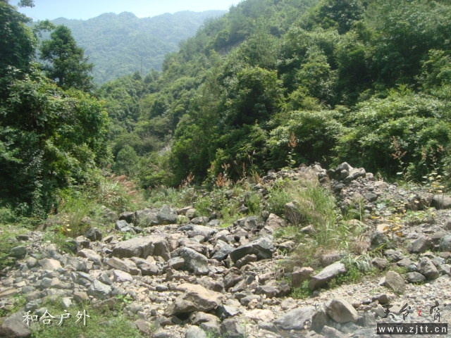 DSC06447_副本.jpg