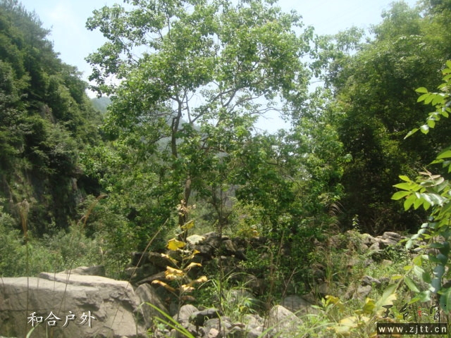DSC06490_副本.jpg