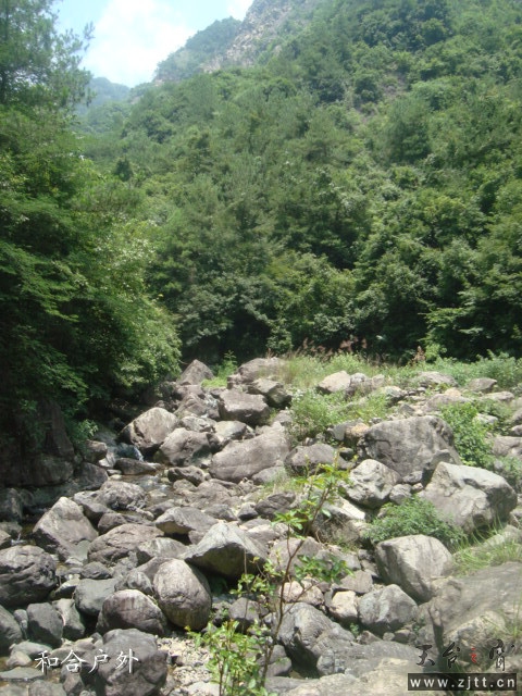 DSC06504_副本.jpg