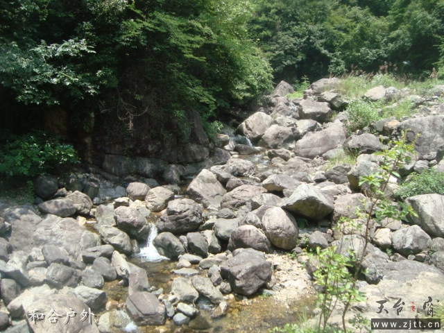 DSC06506_副本.jpg