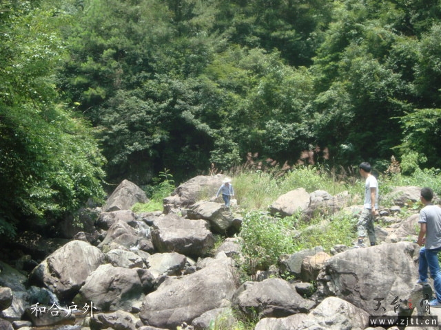 DSC06511_副本.jpg