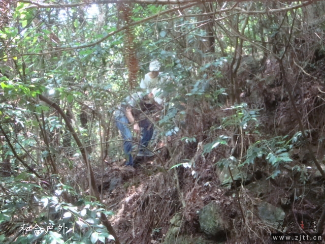 DSC06523_副本.jpg
