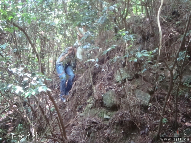 DSC06526_副本.jpg