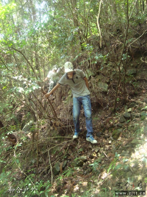 DSC06528_副本.jpg