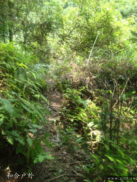 DSC06534_副本.jpg