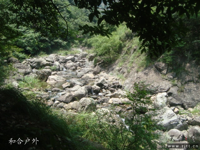 DSC06536_副本.jpg